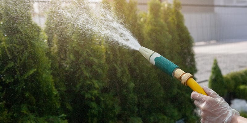 A picture of someone's hand using a water hose to water the hedges.