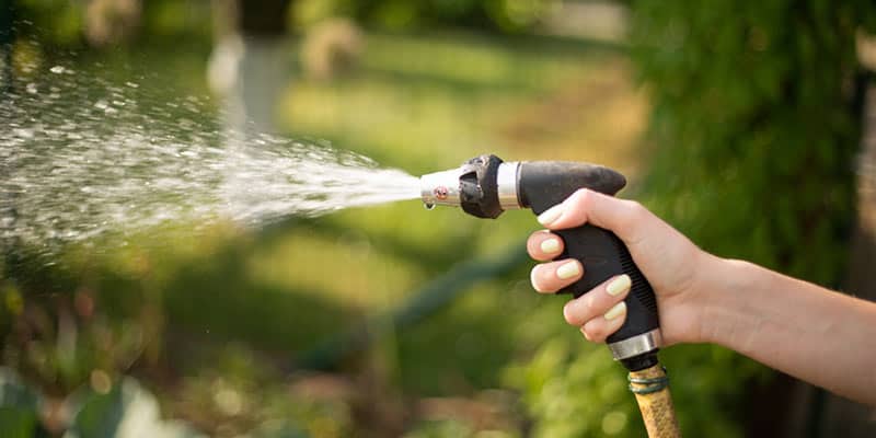 Someone's hand using a water hose to water the hedges.