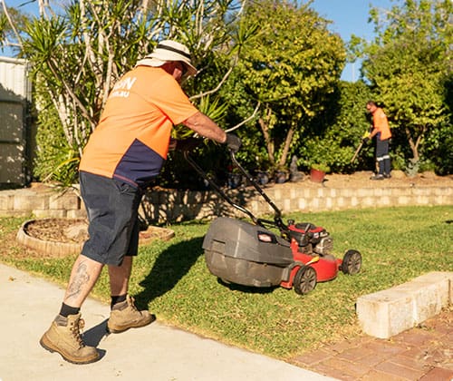 Same day lawn discount mowing service near me