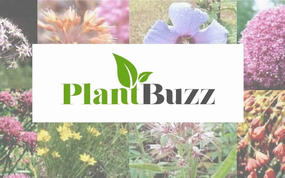 PlantBuzz
