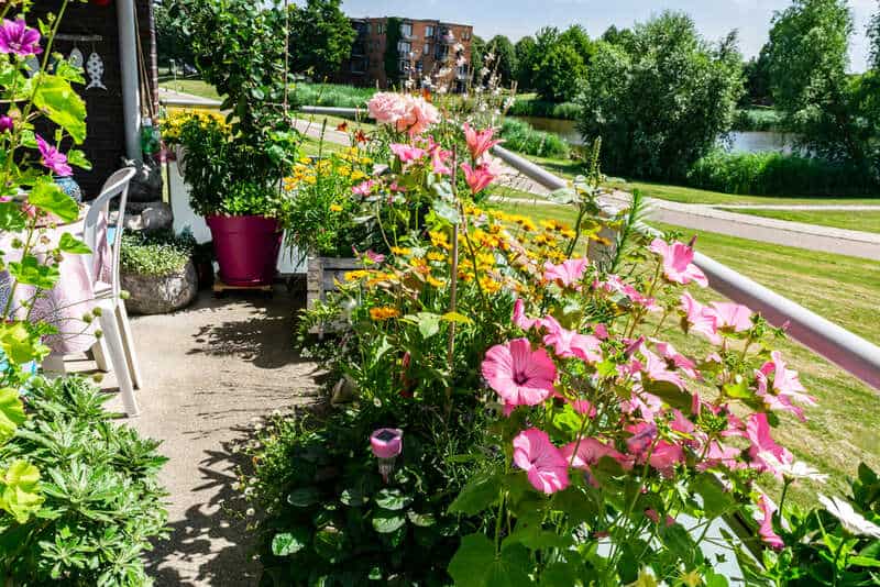 balcony with pots of plants and flowers