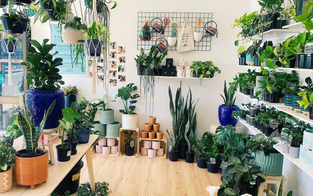 The Plant Lover’s Guide To The Best Nurseries in Sydney
