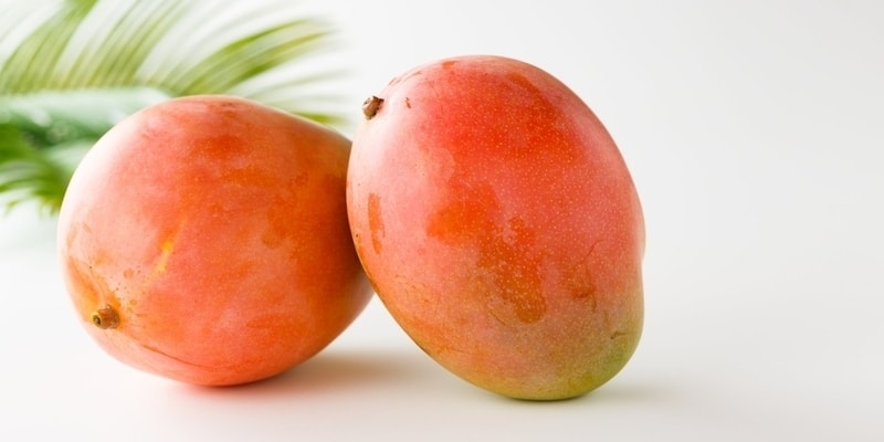 types of mango