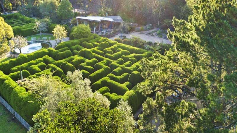 Ashcombe Maze and Gardens