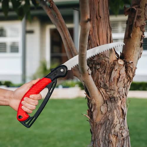 Hoselink pruning saw