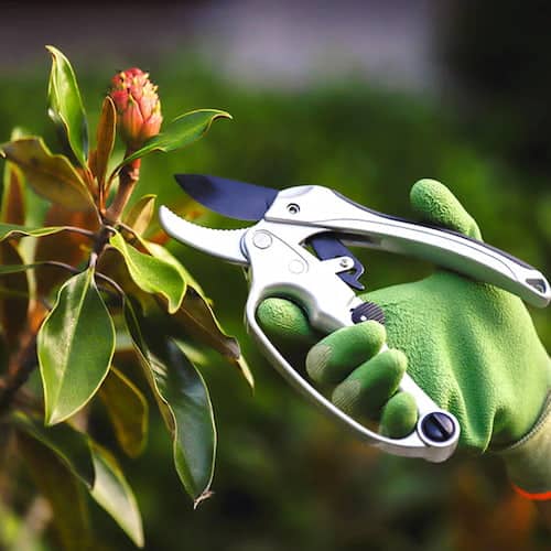 Hoselink ratchet pruners