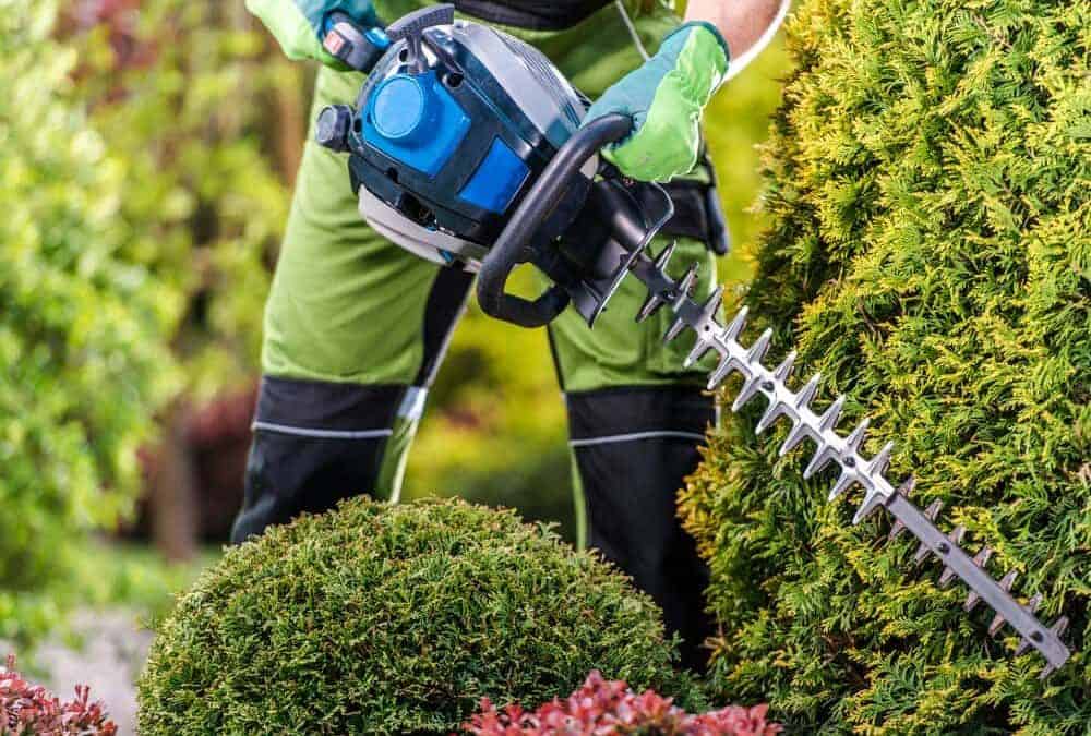 How To Use A Hedge Trimmer