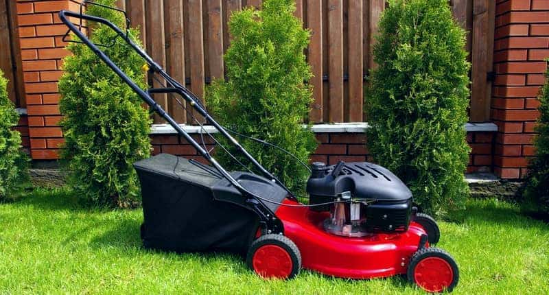 Lawn mower in the garden