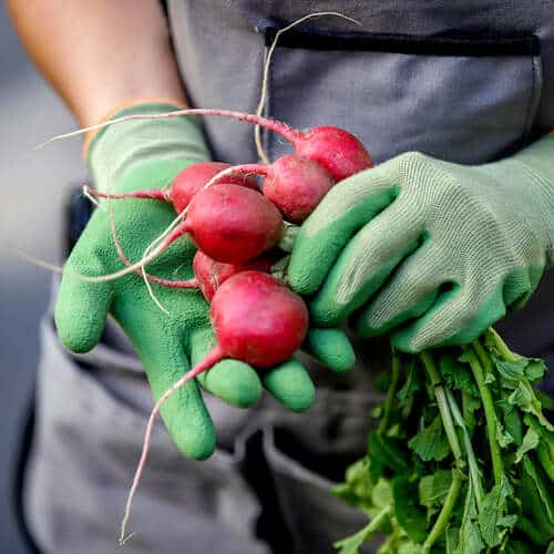 Hoselink bamboo garden gloves