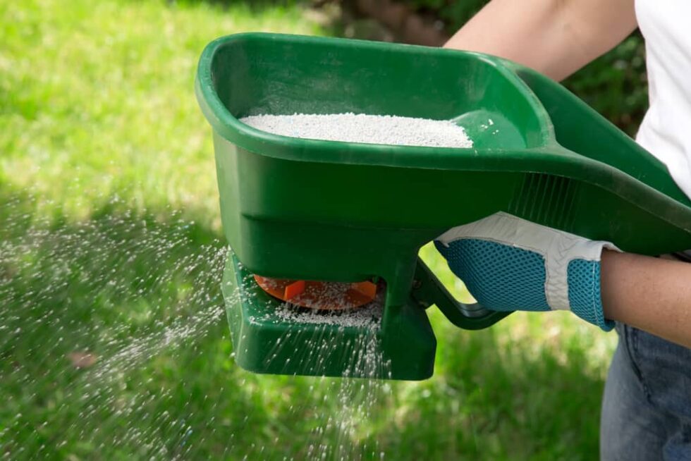 How To Fertilise A Lawn | Lawn.com.au