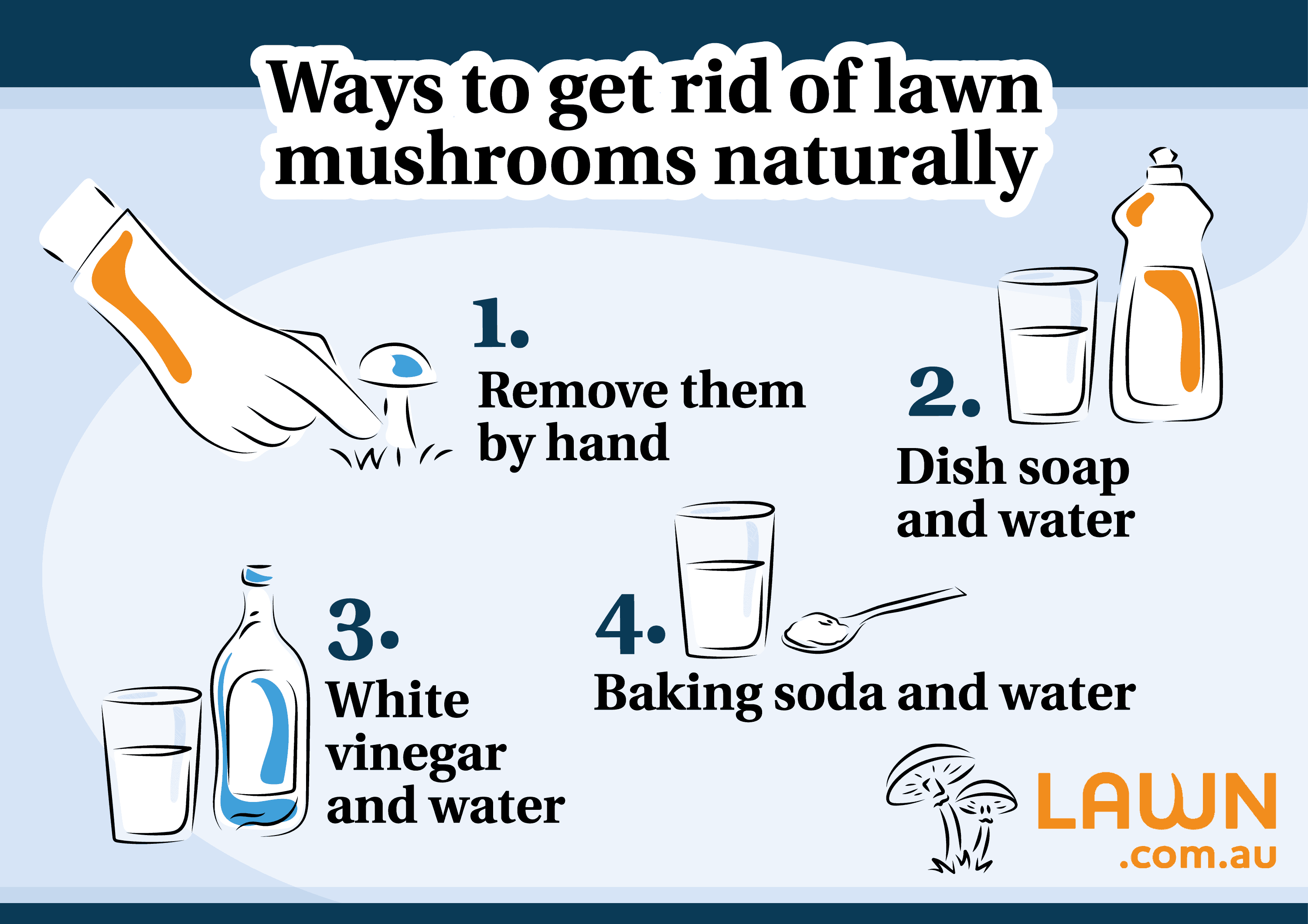 ways to get with of lawn mushrooms naturally