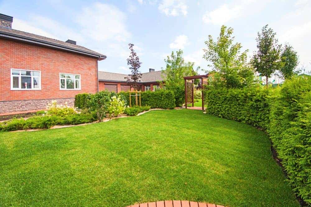 Types Of Lawn Grass In Australia