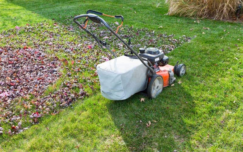 lawn mower cutting lawn grass on a sunny day