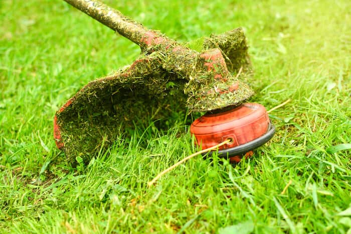 Whipper snipper trimming grass