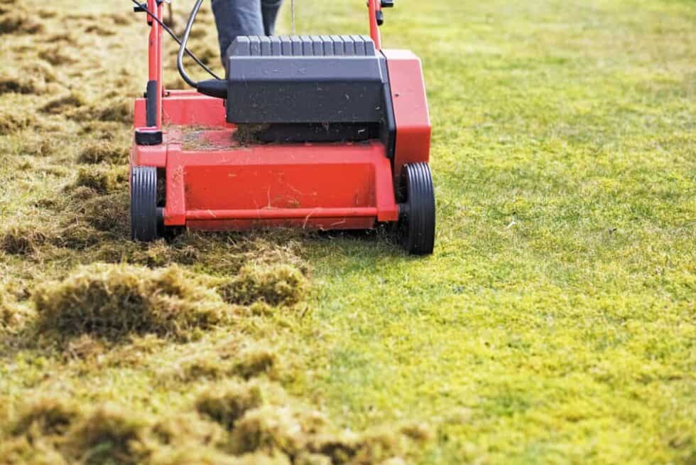 What Is Dethatching? How To Dethatch A Lawn