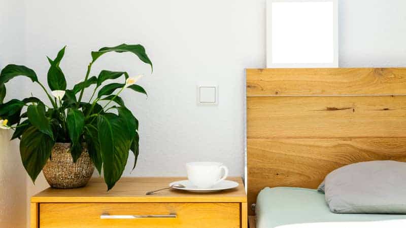 A decorated with blooming peace lily in a ceramic flowerpot and a tea or coffee cup on a saucer wooden bedside table by wooden bed.