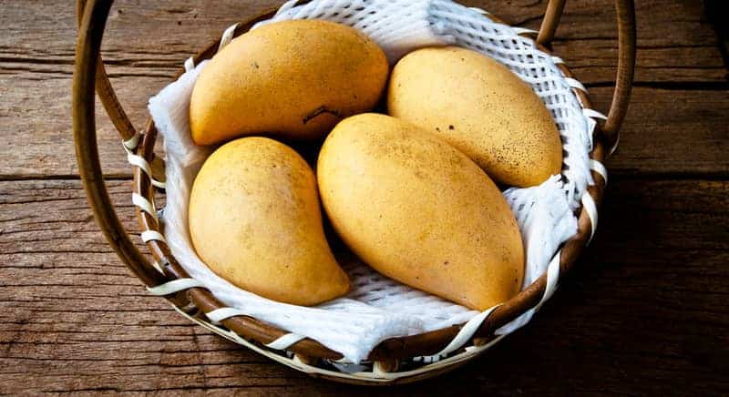 ripe mangoes in a basket