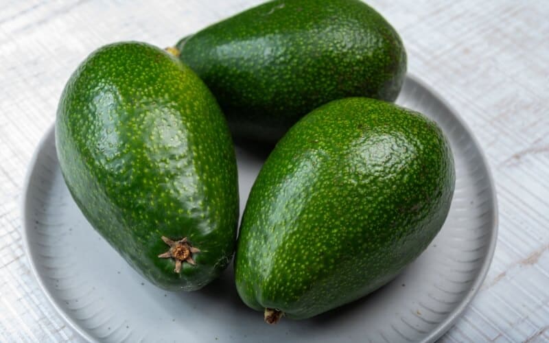 three Zutano avocado fruits on a plate