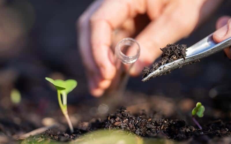 hand gathering soil for testing