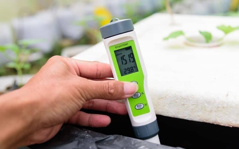 checking EC value of of water bin in the garden