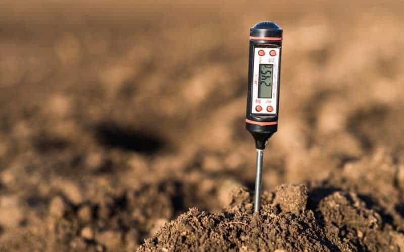 soil pH meter with thin metal rod stuck in soil for reading