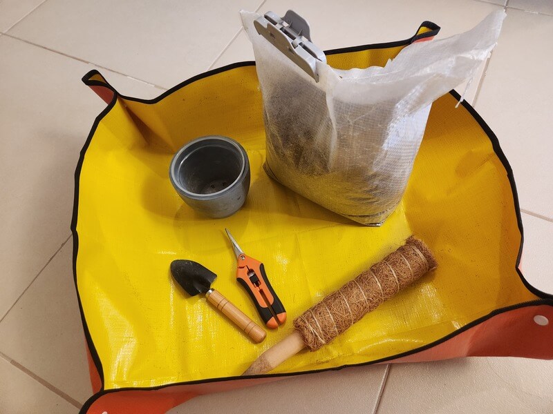 new pot, plant tarp, aroid potting mix, pruning shears, support, and a handheld shovel used to repot Monstera