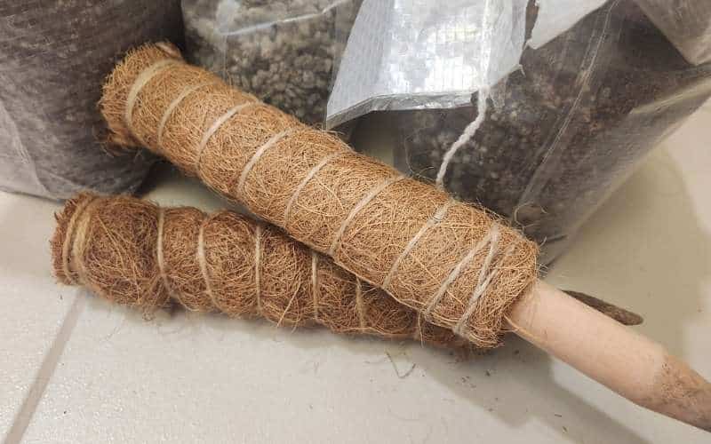 close up of coir poles for Monstera plant support