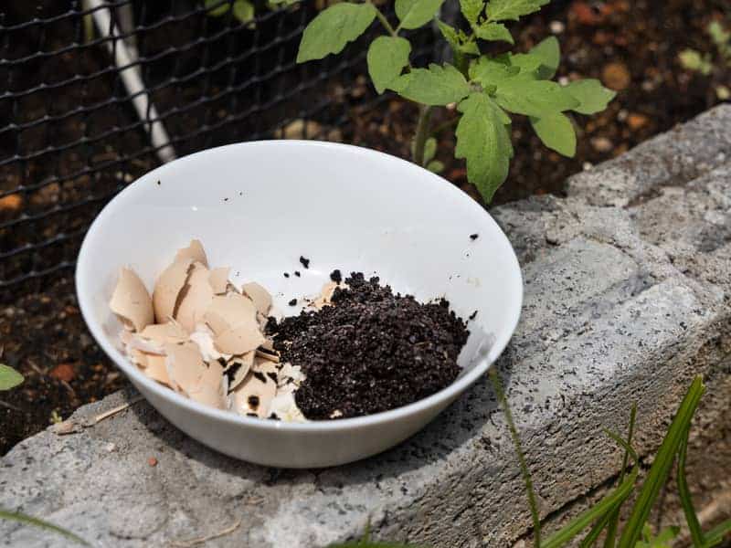 natural fertilisers, coffee grounds and crushed eggshells, on a bowl